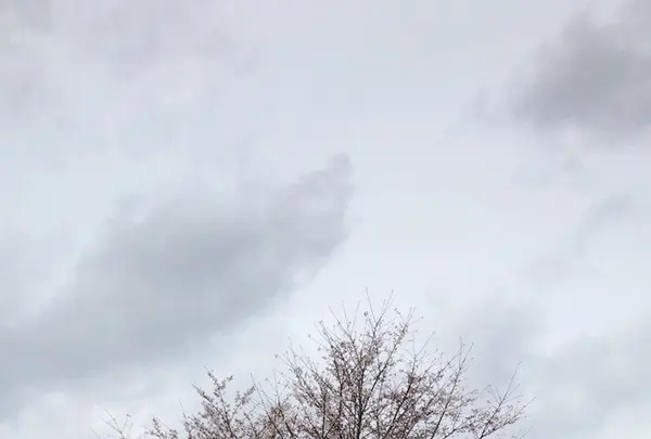 泉自然公園の写真・動画_image_1333849