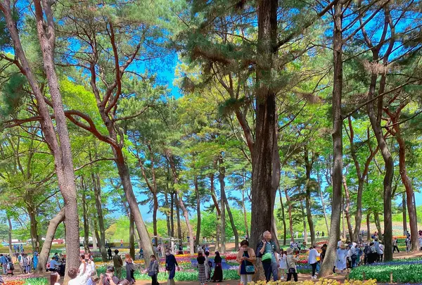 国営ひたち海浜公園の写真・動画_image_1335875