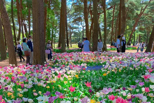 国営ひたち海浜公園の写真・動画_image_1335878