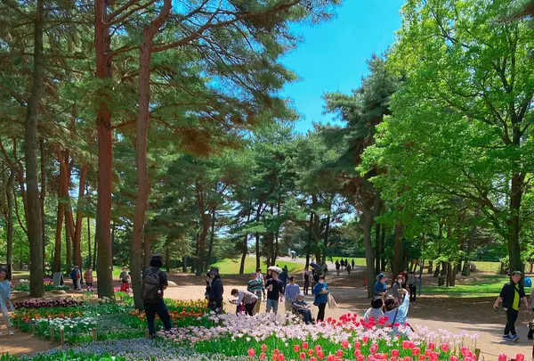国営ひたち海浜公園の写真・動画_image_1335879