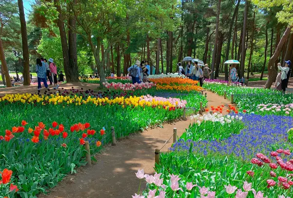 国営ひたち海浜公園の写真・動画_image_1335880