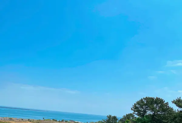 国営ひたち海浜公園の写真・動画_image_1335881