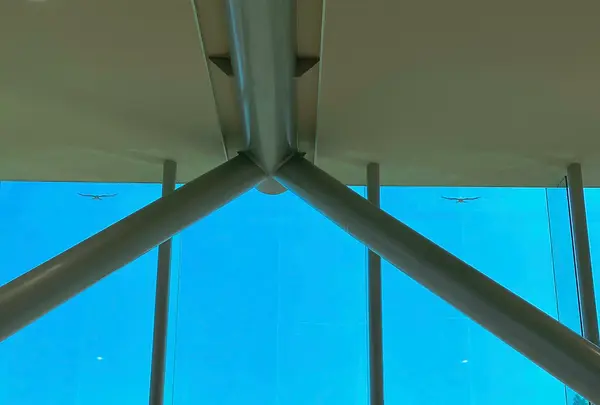 国営ひたち海浜公園の写真・動画_image_1335882