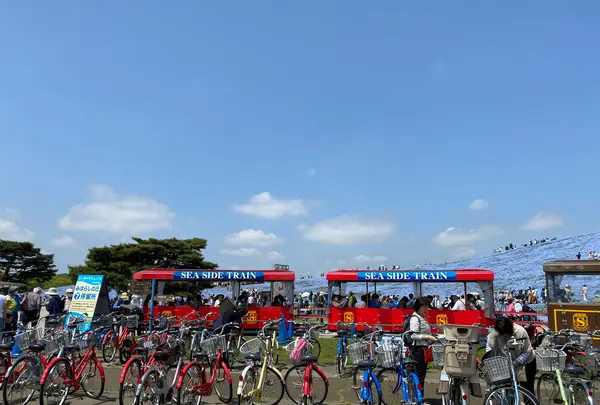 国営ひたち海浜公園の写真・動画_image_1335884