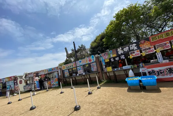 国営ひたち海浜公園の写真・動画_image_1335888