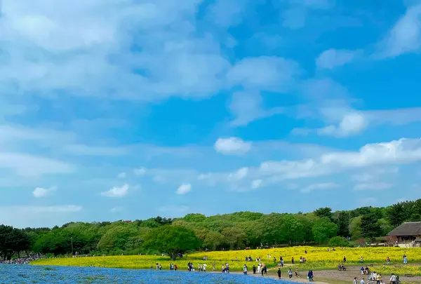 国営ひたち海浜公園の写真・動画_image_1335893