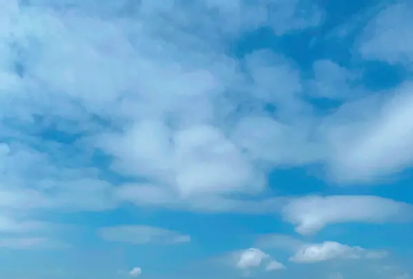 国営ひたち海浜公園の写真・動画_image_1335894