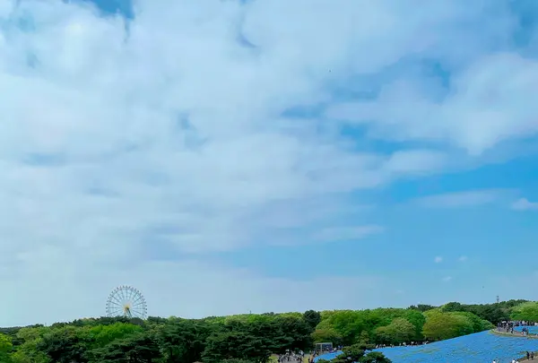 国営ひたち海浜公園の写真・動画_image_1335895