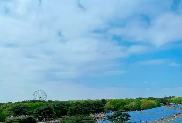 国営ひたち海浜公園の写真・動画_image_1335896