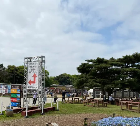 国営ひたち海浜公園の写真・動画_image_1335900