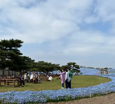 国営ひたち海浜公園の写真・動画_image_1335901