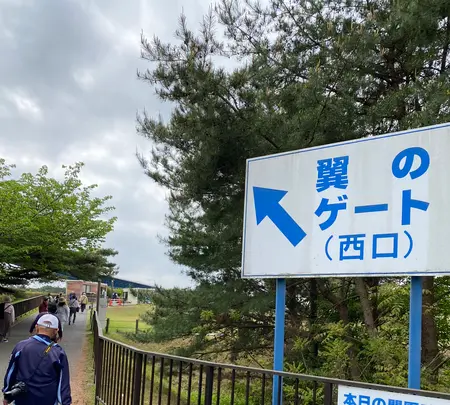 国営ひたち海浜公園の写真・動画_image_1335905