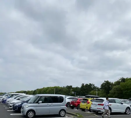 国営ひたち海浜公園の写真・動画_image_1335907