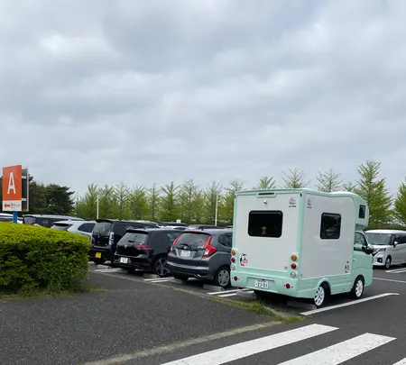国営ひたち海浜公園の写真・動画_image_1335908