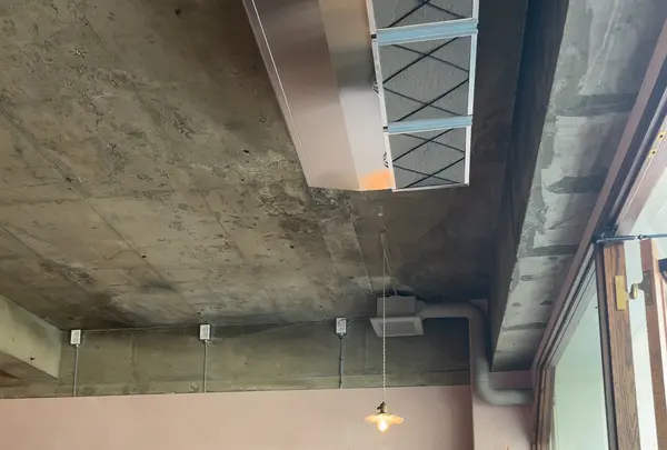 Autumnの写真・動画_image_1342515