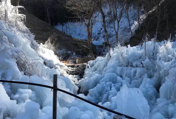 あしがくぼの氷柱の写真・動画_image_1344780