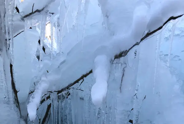 あしがくぼの氷柱の写真・動画_image_1344781