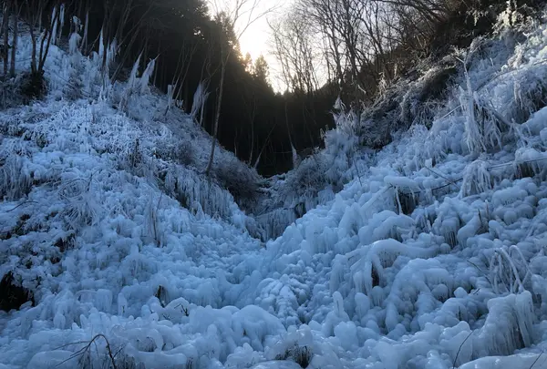 あしがくぼの氷柱の写真・動画_image_1344782
