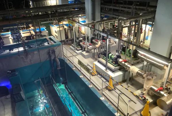 アクアワールド茨城県大洗水族館の写真・動画_image_1345150