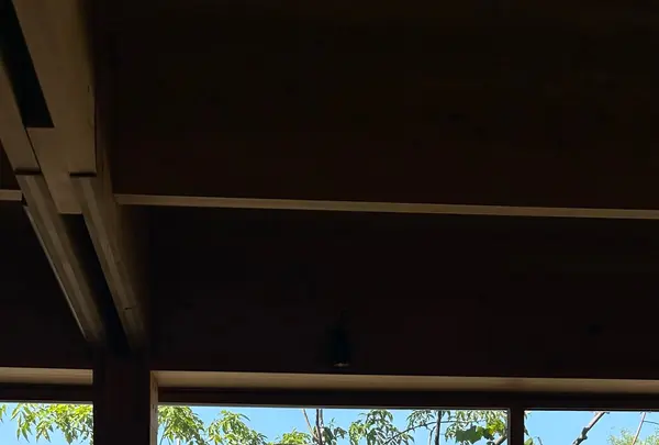 &LOCALS大濠公園の写真・動画_image_1345622