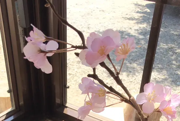 わらび餅専門店 門藤 千葉の写真・動画_image_1347888