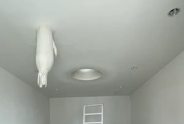 十和田市現代美術館の写真・動画_image_1348320