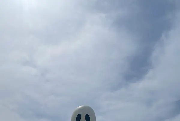 十和田市現代美術館の写真・動画_image_1348324