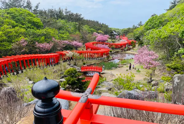 高山稲荷神社の写真・動画_image_1348340