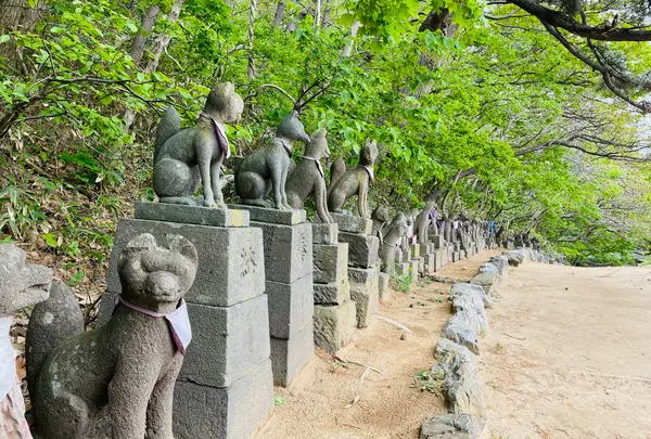 高山稲荷神社の写真・動画_image_1348341
