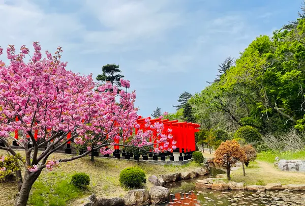 高山稲荷神社の写真・動画_image_1348342