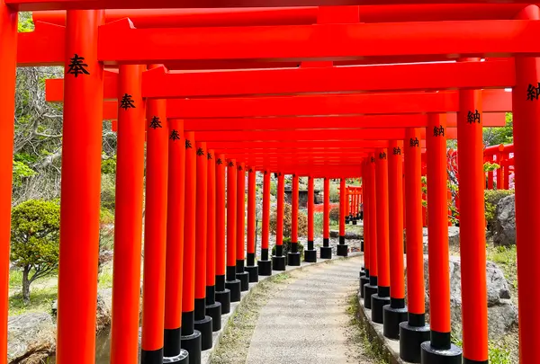 高山稲荷神社の写真・動画_image_1348344