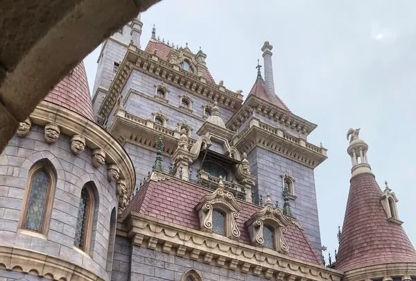東京ディズニーランドの写真・動画_image_1349146