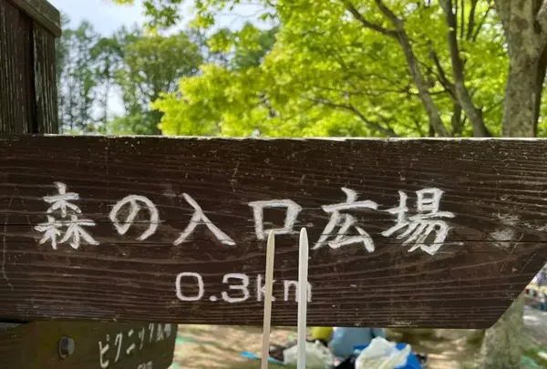 松本市アルプス公園の写真・動画_image_1351357