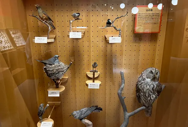 松本市アルプス公園の写真・動画_image_1351361