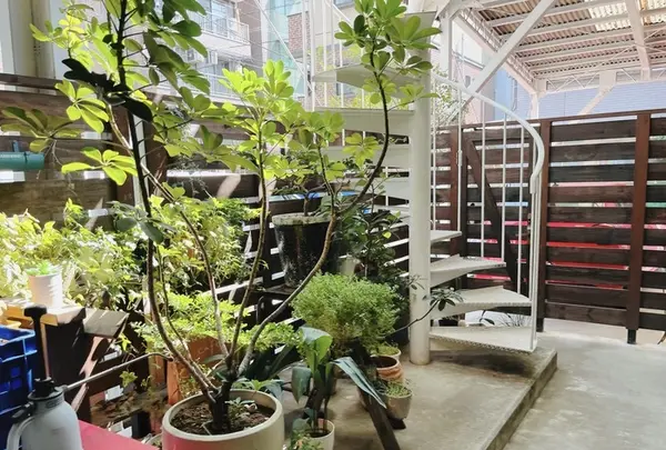 フカダソウカフェ（fukadaso cafe）の写真・動画_image_1355487