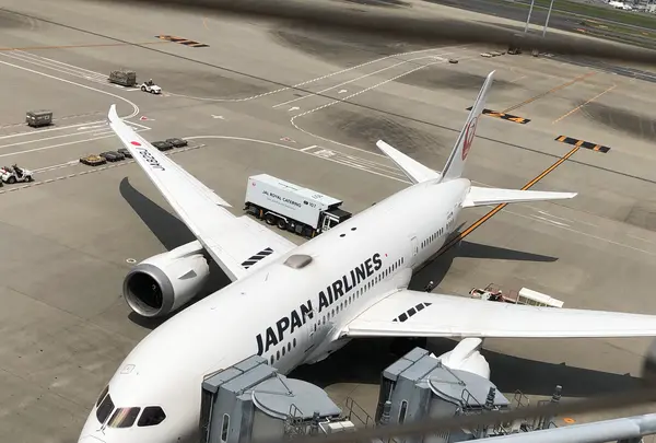 羽田空港（東京国際空港）の写真・動画_image_1355856
