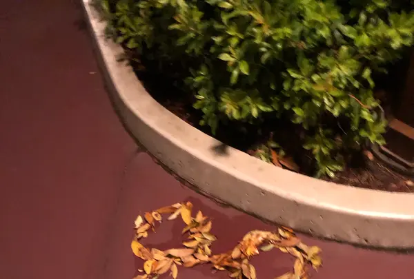 東京ディズニーシーの写真・動画_image_1355866