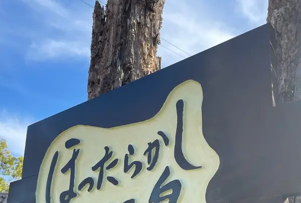 ほったらかし温泉の写真・動画_image_1356551