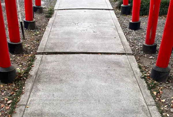 於菊稲荷神社の写真・動画_image_1356634