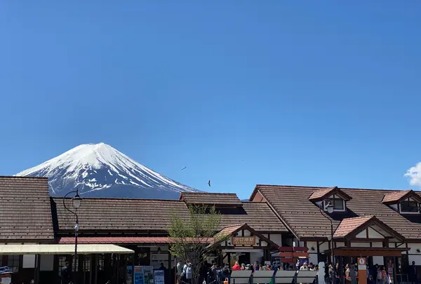 河口湖駅の写真・動画_image_1358995