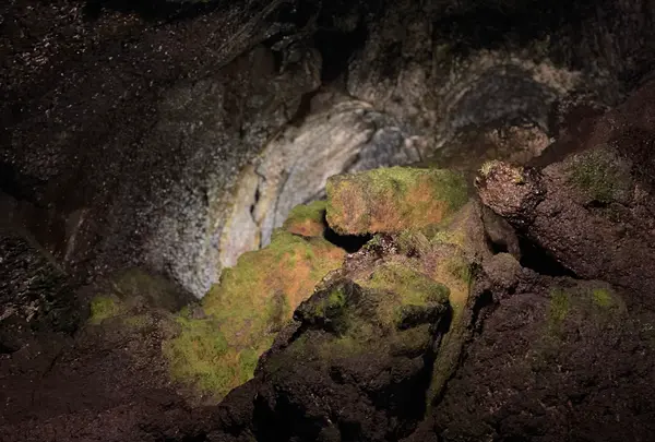 富岳風穴の写真・動画_image_1359007