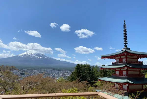 新倉山浅間公園の写真・動画_image_1359016