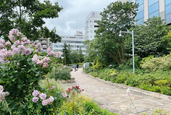 深川ギャザリアの写真・動画_image_1359456