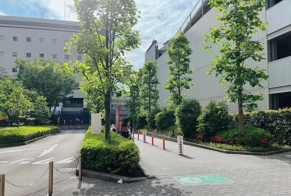 深川ギャザリアの写真・動画_image_1359458