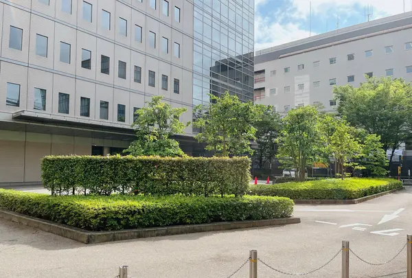 深川ギャザリアの写真・動画_image_1359459