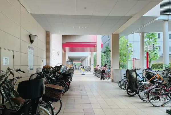 深川ギャザリアの写真・動画_image_1359463