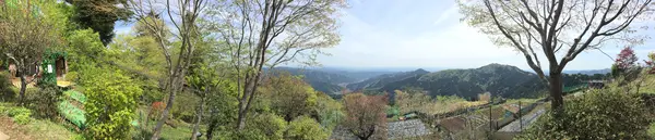 御岳山の写真・動画_image_1360745