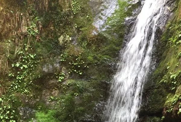御岳山の写真・動画_image_1360747