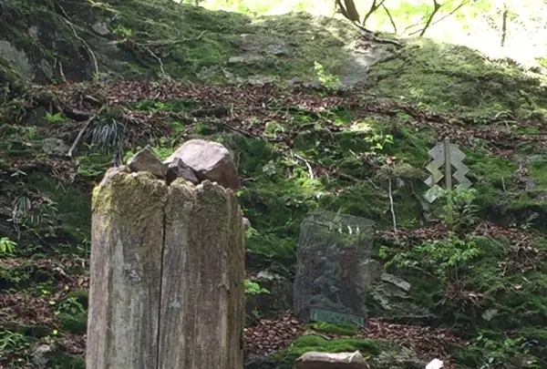 御岳山の写真・動画_image_1360750