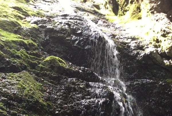 御岳山の写真・動画_image_1360751